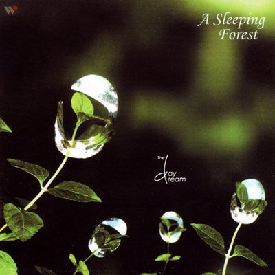 音樂居士新店#白日夢4 - Daydream - A Sleeping Forest 孵夢森林#CD專輯