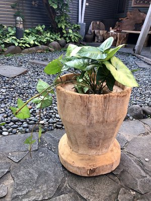 Rice Vase-老柚木花器