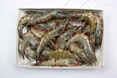 【冷凍蝦蟹系列】活凍白蝦(26/30) /約 750g~殼薄新鮮~肉嫩味美~鮮甜便宜又好吃~