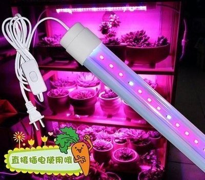 LED植物生長燈/多肉植物防徒長/30cm6w/補光燈/溫室組培/紅藍光合防水植物燈管 - 千葉園藝有限公司