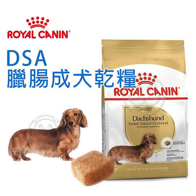 【🐱🐶培菓寵物48H出貨🐰🐹】BHN 法國新皇家飼料《臘腸成犬DSA》1.5KG  7.5KG