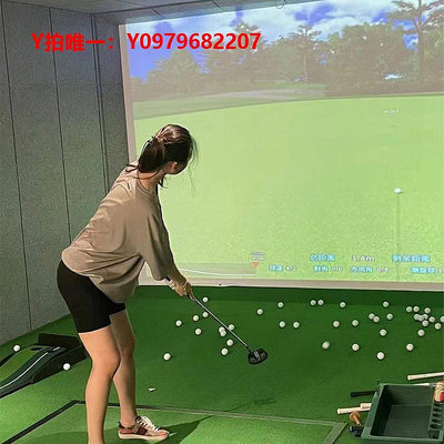 高爾夫練習網家庭辦公室內高爾夫模擬器設備練習揮桿運動自動回球果嶺打擊體育