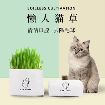 【Cat Grass貓草胚芽袋】水培盆栽袋裝貓薄荷毛貓草籽貓咪用品