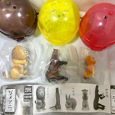 TAKARA TOMY手機寫真自拍動物扭蛋 BANDAI萬代@轉蛋盒玩食玩模型公仔玩偶娃娃玩具人偶黏土人