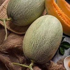 新疆西州薄皮哈蜜瓜 (蔬果類種子)每包約5粒:M0017/M1004