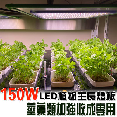 君沛 燈板系列 150瓦 吊掛式 植物燈 莖葉加強光譜 植物成長專用燈 植物生長燈
