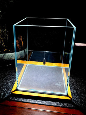 【現貨】超白魚缸泰國斗魚缸金晶玻璃方缸小型草缸水族箱家用桌面造景