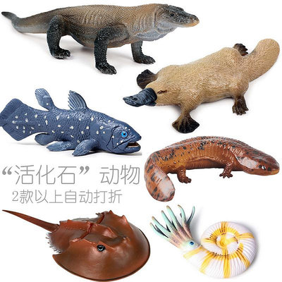 活化石動物模型仿真鸚鵡螺科莫多巨蜥鴨嘴獸矛尾魚中華鱟娃娃魚