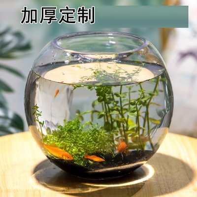 【熱賣精選】魚缸 加厚玻璃魚缸圓形大號魚缸小型水族箱金魚缸客廳烏龜缸 玻璃魚缸