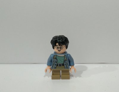 LEGO 樂高 人偶 Harry potter 哈利波特 76390限定 公仔 正版