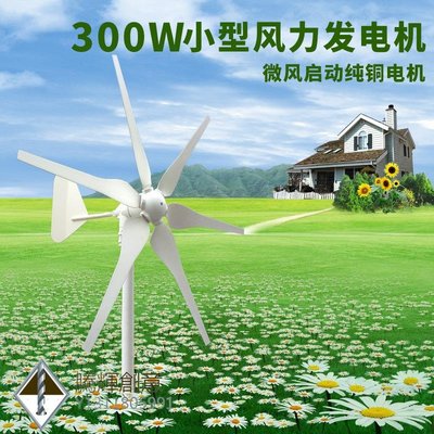 經典款300w家用小型風力發電機太陽能風能發電系統微型發電機組-騰輝創意