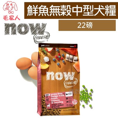 毛家人-Now! 鮮肉無穀天然犬糧 中型犬系列【鮮魚無榖成犬配方】22磅(9.99kg),狗飼料