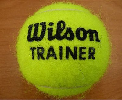 (台同運動活力館) Wilson 練習級網球 網球 練習球 無壓球