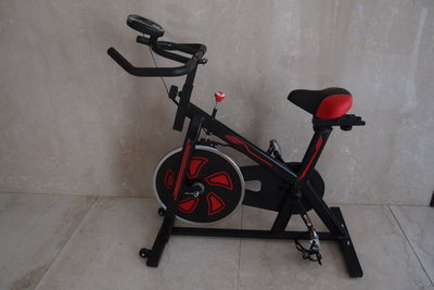 【SAN SPORTS】立式飛輪健身車（很新）-健康不等人  等您得健康