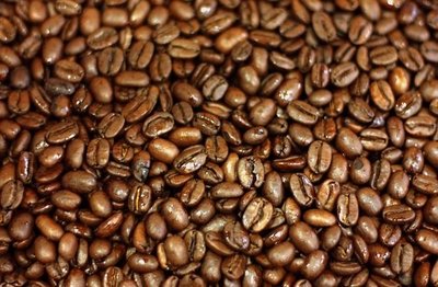 Cafi coffee手作自家烘培師烘培頂級單品咖啡豆哥斯大黎加卡內特莊園音樂家系列-蕭邦1磅特價1700-全省免運