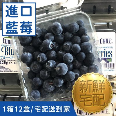 藍莓 水果 12盒(1500g)禮盒 空運進口水果 送禮精緻大方 新鮮冷藏宅配到府