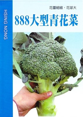 青花菜【滿790免運費】888大型青花菜 綠色花椰菜【蔬果種子】興農牌 每包約1ml