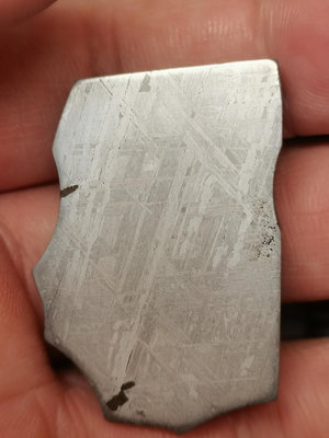 【二手】一塊殊的Gibeon鐵隕石切片 ，難得的G鐵變異類型。重452713【李掌櫃】