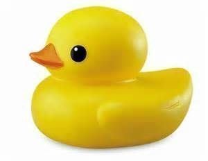 TOLO Rubber Duck 正港黃色小鴨 (原廠正版)