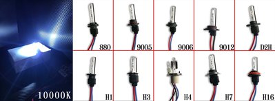 雪萊特疝氣燈泡 汽車HID大燈 10000K 疝氣燈 多種規格 汽機車皆可使用