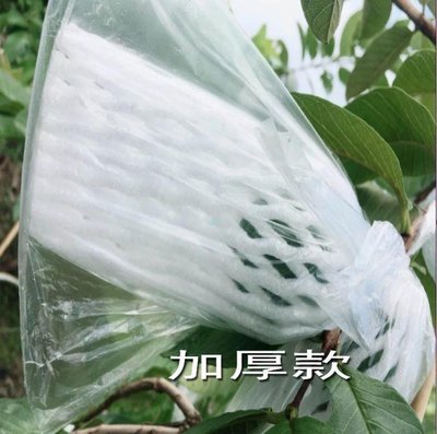 芭樂番石榴套袋水果網套專用套袋有耳型防蟲袋防鳥泡沫網膠袋促銷