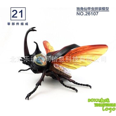 BOxx潮玩~4D MASTER 動物解剖拼裝模型生物教學 獨角仙甲蟲26107