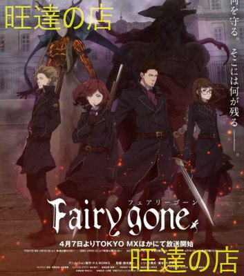 全新2019第三季度新番 Fairy gone 1+2季全DVD 盒裝 旺達の店