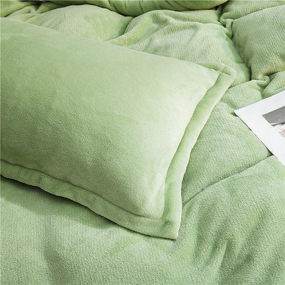 枕套一對裝牛奶絨枕頭套珊瑚絨法蘭絨冬季加厚48x74cm枕芯