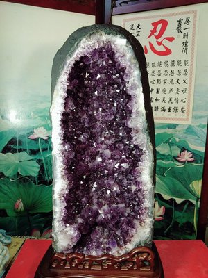 頂級天然AAA 超紫度 35.55公斤 ((巴西黃磷鐵礦 骨幹 共生紫水晶洞 )) 藏風 納氣.納財.聚財