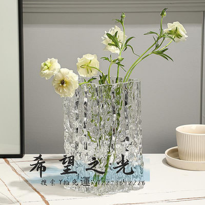 花瓶ins風高級感家用輕奢水培花瓶玻璃透明插花玫瑰鮮花客廳餐桌擺件花器