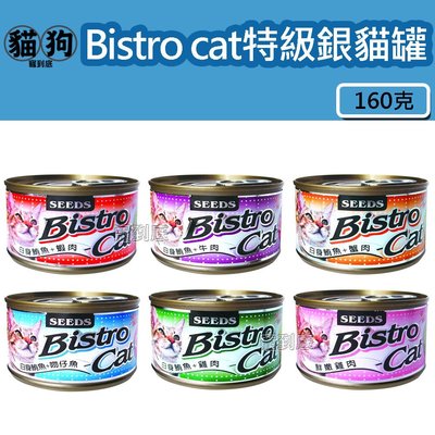 寵到底-SEEDS聖萊西Bistro cat特級銀貓健康大罐貓罐160克