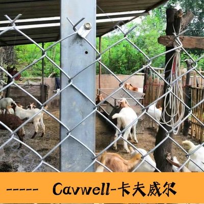 Cavwell-鍍鋅網 鍍鋅菱形勾花網鐵絲網圍欄網護欄養殖網種植圈地荷蘭防護網隔離網-可開統編