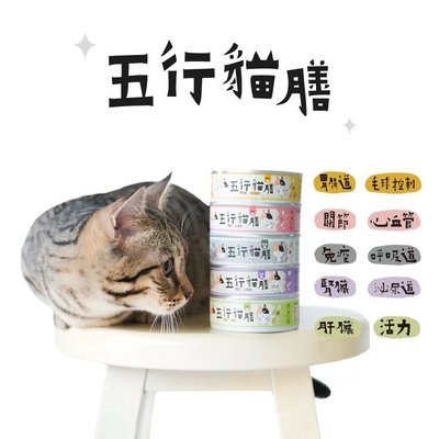 (即期2024/09) 五行貓膳【機能＋】全能主食罐(單罐80g)