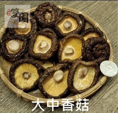 中大朵台灣香菇300g-黑皮 冬菇 比一般香菇更厚實好吃 埔里香菇  香菇禮盒 冬菇禮盒 香菇批發-雙園南北貨商行