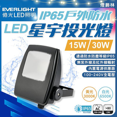 【燈飾林】億光 LED 星宇投光燈 投射燈 戶外防水 15W 30W 黃光 白光 防水 IP65 戶外投光燈 全電壓