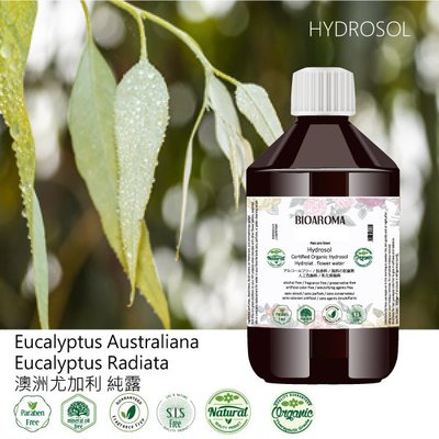 【芳香療網】澳洲尤加利有機花水純露滿300送純露功效電子書Eucalyptus Australiana 250ml