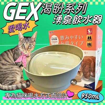 💥CHOCO寵物💥日本GEX 貓用 渴盼貓用飲水器 奶茶色 950ml/組 寵物飲水器陶瓷 循環 飲水器 愛喝水 貓