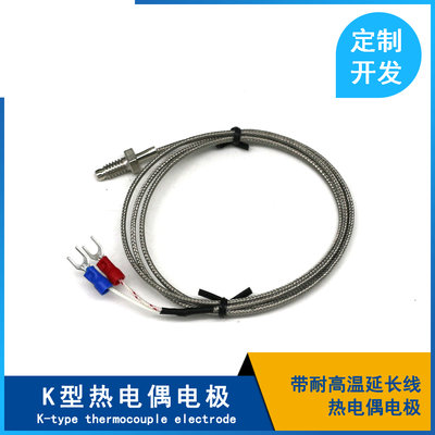 K型熱電偶電極螺釘式帶耐高溫延長線小型溫度儀錶感測器探頭正品 W1112-200707[405618]