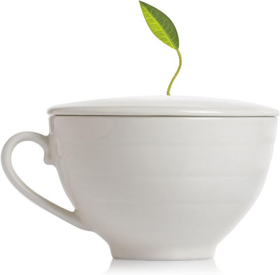 風靡時尚名流圈 頂級茶品 Tea Forte 白瓷附蓋咖啡杯 Café Cup 與經典款 5 入金字塔型絲質茶包禮盒