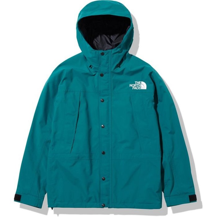 新品未使用】GTX MOUNTAIN JACKET 2【L】-