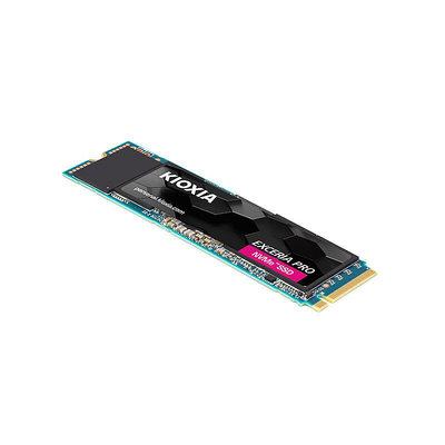 Kioxia/鎧俠 RC20/SE10 500G 1T/2T m.2桌機筆電SSD固態硬碟