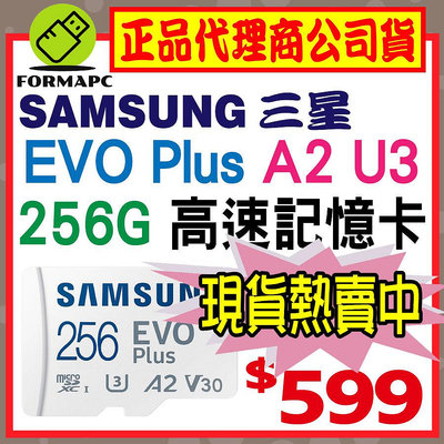 【公司貨】SAMSUNG 三星 EVO Plus microSDXC U3 A2 V30 256GB 256G 記憶卡
