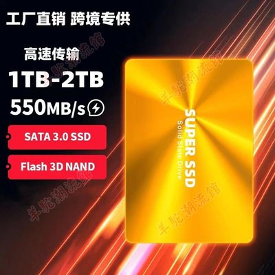 專供 擴容升級高速SSD固態硬盤 SATA3.0 1TB 穩定傳輸