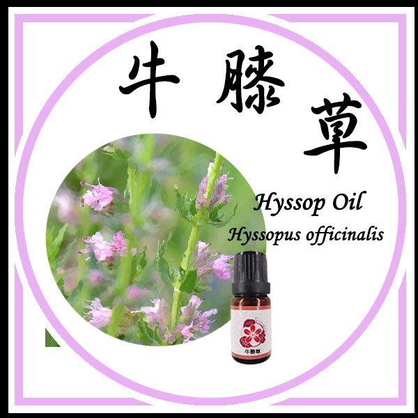 三越garden 牛膝草10ml 產地 保加利亞萃取部位 葉 花萃取方式 蒸氣蒸餾法 Yahoo奇摩拍賣