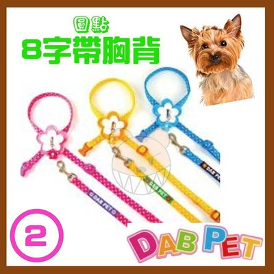 【幸福寶貝寵物Go】台灣製 DAB PET《2分，幼犬/小型犬》圓點-8字帶胸背(粉紅.藍.黃三種顏色)