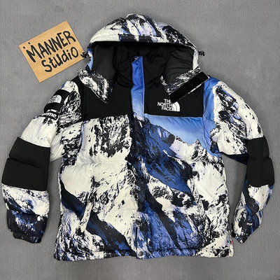 Supreme the north face 雪山羽絨服