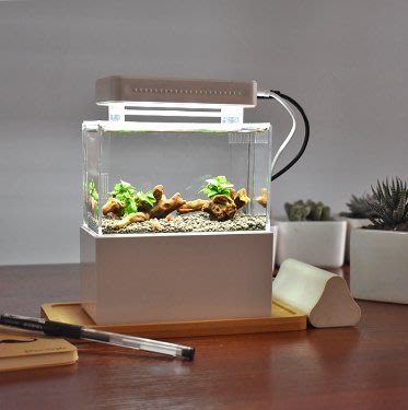 【新奇屋】USB微型魚缸 辦公室迷你療癒魚缸 宿舍桌面小缸 淡水海水族箱過濾生態缸(含加熱棒)款