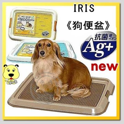 【🐱🐶培菓寵物48H出貨🐰🐹】IRIS《網狀抗菌》狗便盆TFT-650