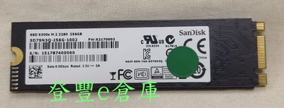 【登豐e倉庫】 SanDisk 晟碟 SSD X300s M.2 2280 256GB SD7SN3Q-256G 固態