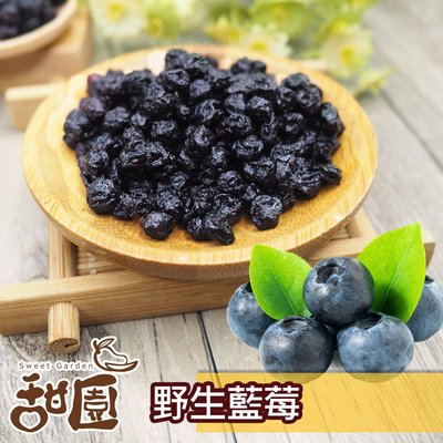 野生藍莓粒 60g隨身包 藍莓果乾 藍莓 水果乾 果乾 無糖果乾 豐富的花青素【甜園】